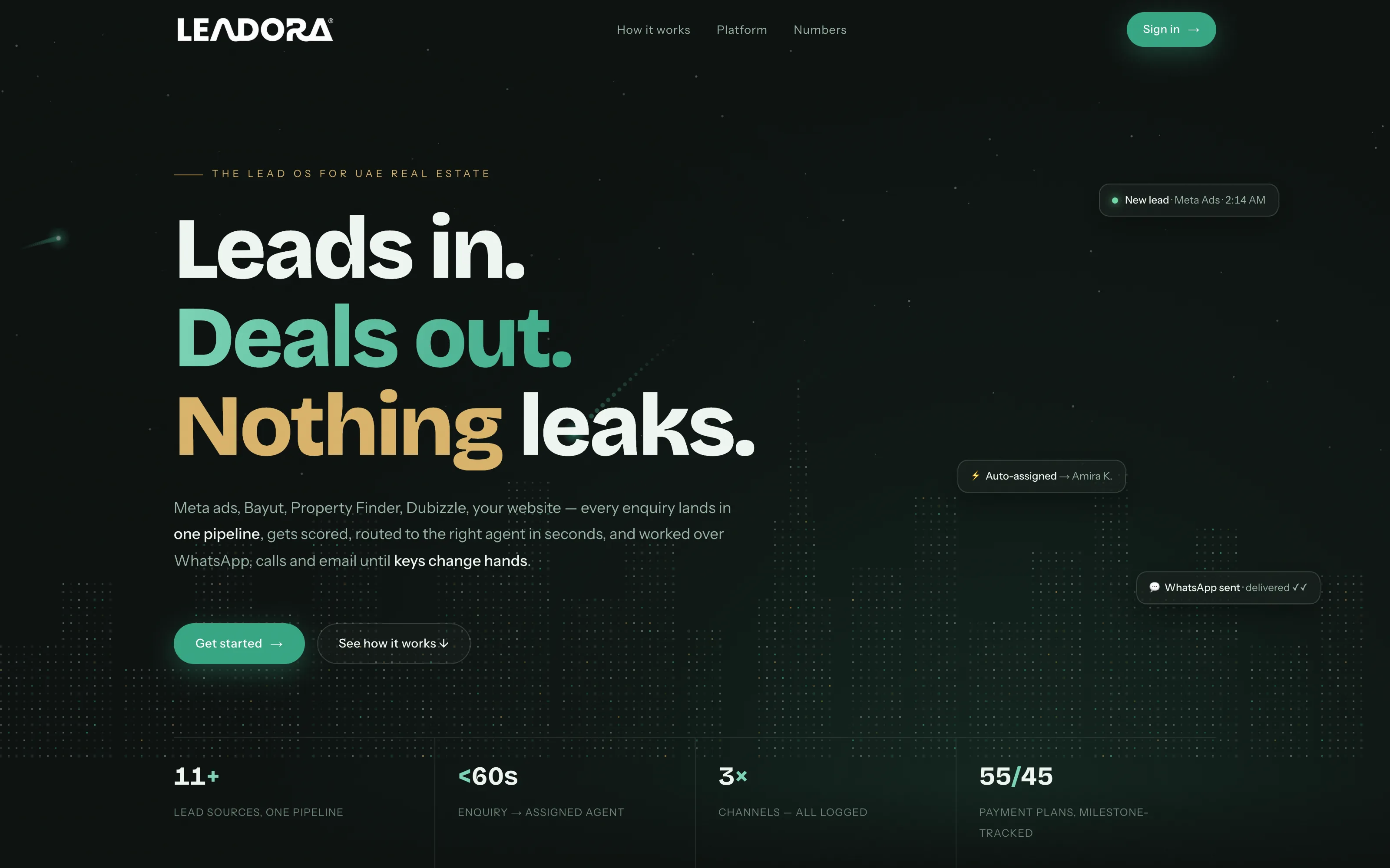 Leadora website preview